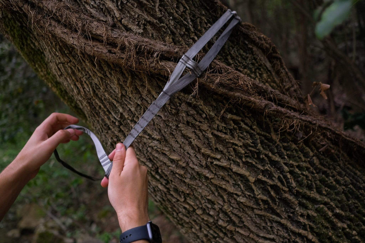 Kammok Python 10 UL hammock straps wrapped around a tree.